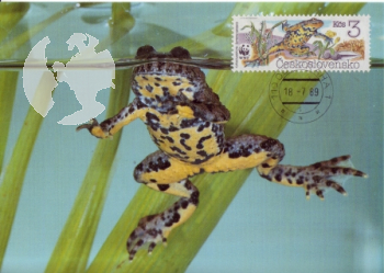 CM 2898 / 2901 - WWF ● - 1989